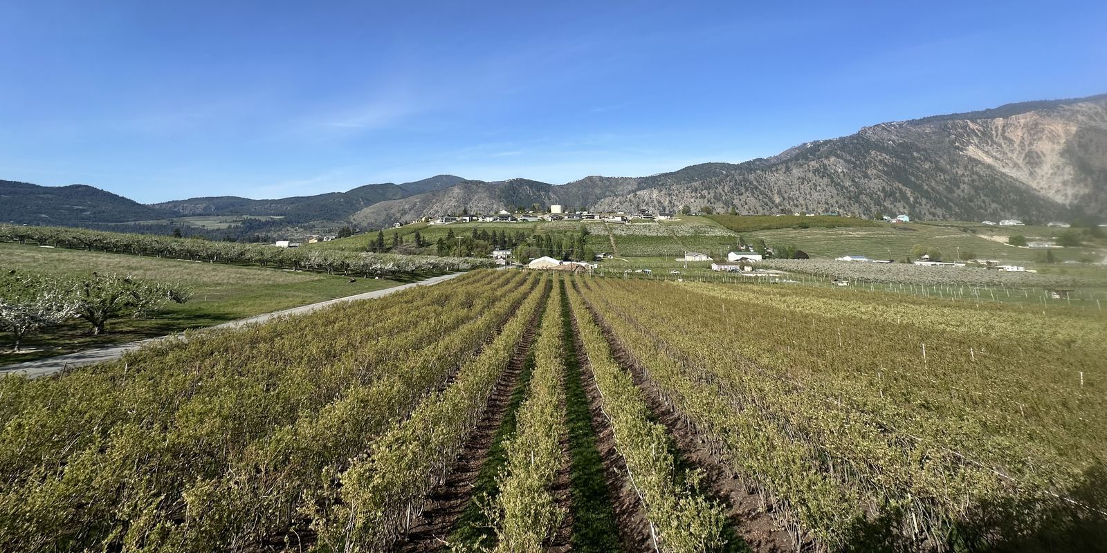 An orchard valley in Washington State