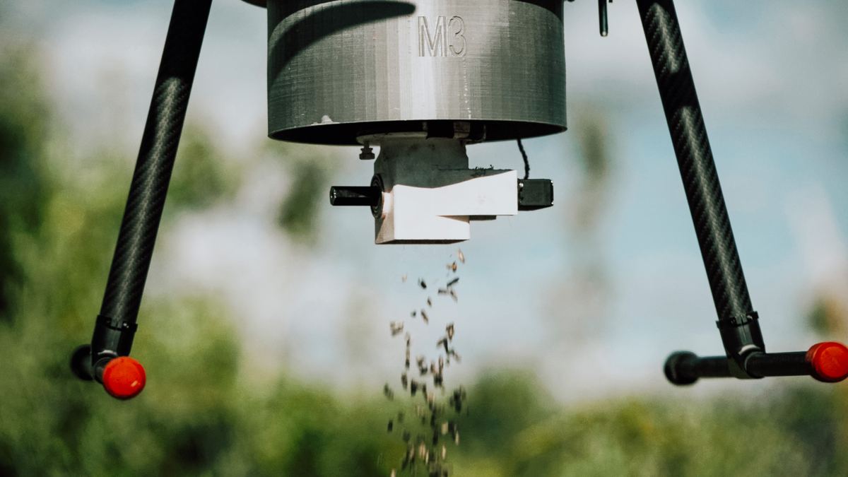 The M3 release device under a drone, dropping sterile codling moths over an orchard