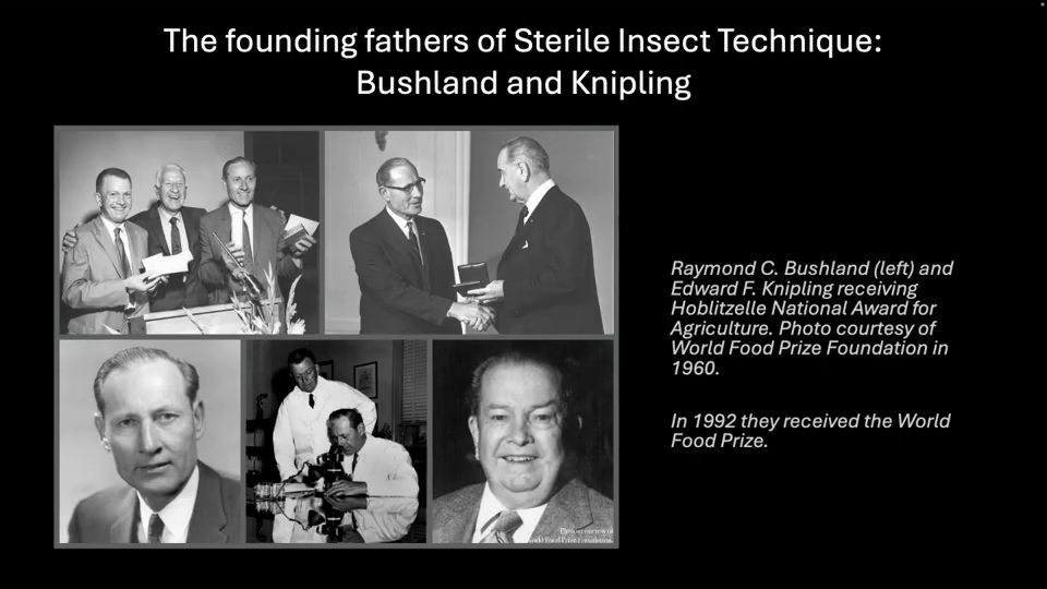 Diapositiva del Módulo 1: los padres fundadores de la técnica del insecto estéril, Bushland y Knipling
